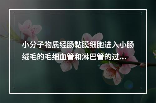 小分子物质经肠黏膜细胞进入小肠绒毛的毛细血管和淋巴管的过程，