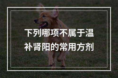 下列哪项不属于温补肾阳的常用方剂