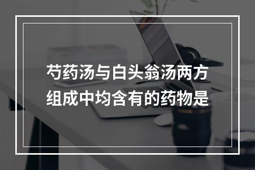 芍药汤与白头翁汤两方组成中均含有的药物是