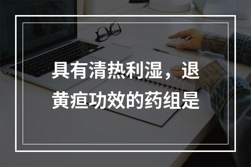 具有清热利湿，退黄疸功效的药组是