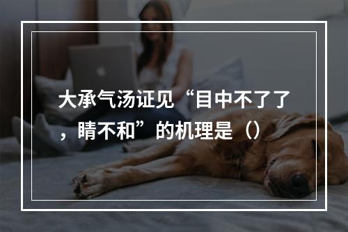 大承气汤证见“目中不了了，睛不和”的机理是（）