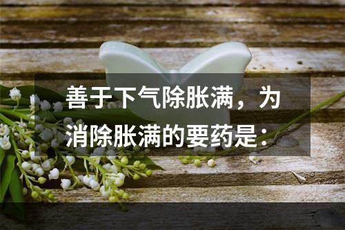 善于下气除胀满，为消除胀满的要药是：