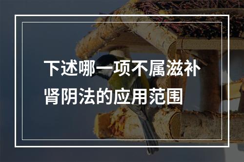 下述哪一项不属滋补肾阴法的应用范围