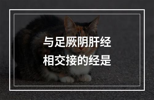 与足厥阴肝经相交接的经是