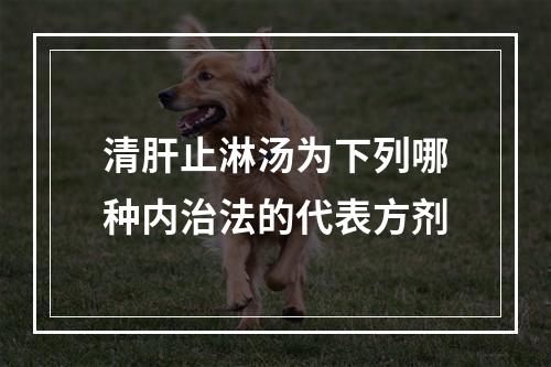 清肝止淋汤为下列哪种内治法的代表方剂