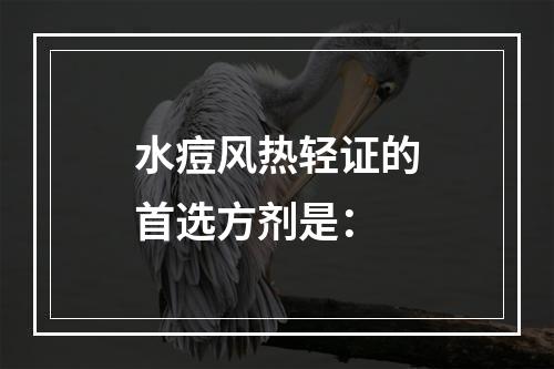 水痘风热轻证的首选方剂是：