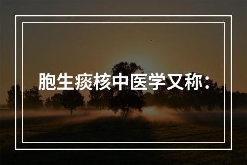 胞生痰核中医学又称：