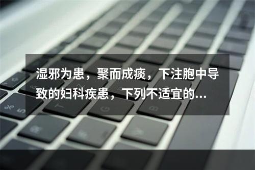 湿邪为患，聚而成痰，下注胞中导致的妇科疾患，下列不适宜的方剂