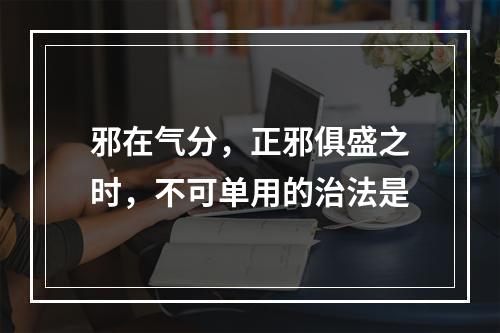 邪在气分，正邪俱盛之时，不可单用的治法是