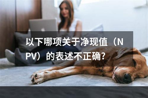 以下哪项关于净现值（NPV）的表述不正确?