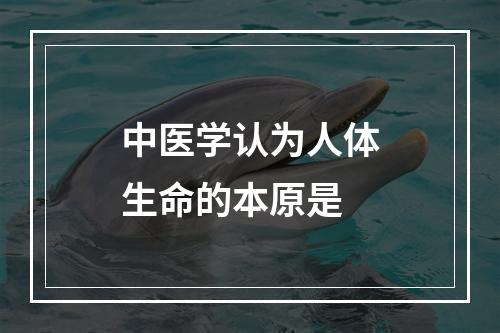 中医学认为人体生命的本原是