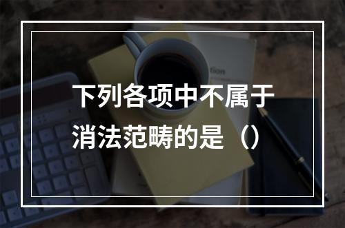 下列各项中不属于消法范畴的是（）