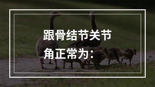 跟骨结节关节角正常为：