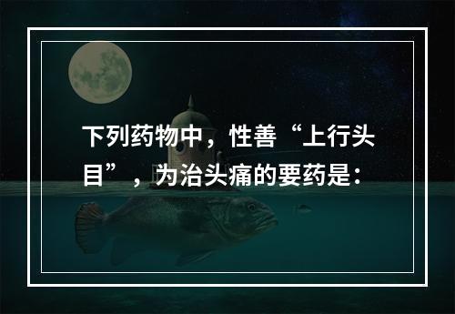 下列药物中，性善“上行头目”，为治头痛的要药是：