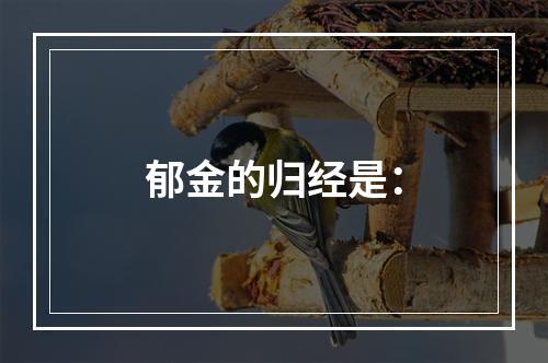 郁金的归经是：