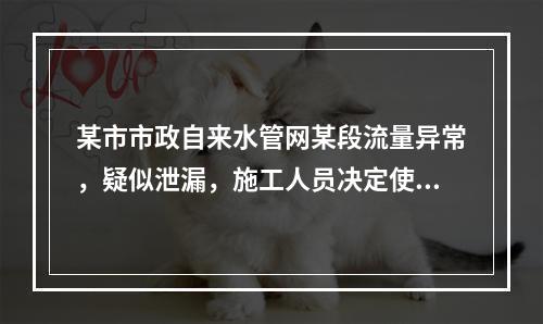 某市市政自来水管网某段流量异常，疑似泄漏，施工人员决定使用故