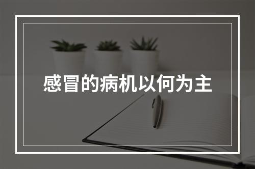 感冒的病机以何为主