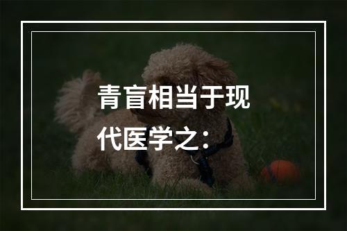 青盲相当于现代医学之：