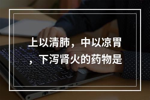 上以清肺，中以凉胃，下泻肾火的药物是