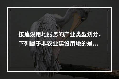 按建设用地服务的产业类型划分，下列属于非农业建设用地的是（　