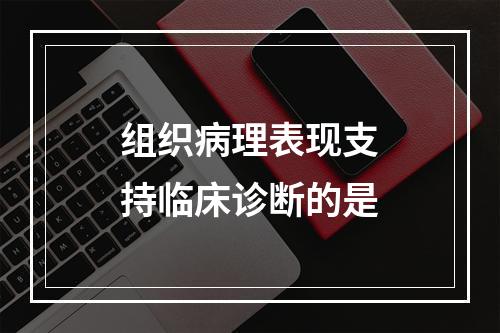 组织病理表现支持临床诊断的是