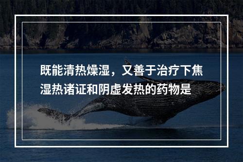 既能清热燥湿，又善于治疗下焦湿热诸证和阴虚发热的药物是