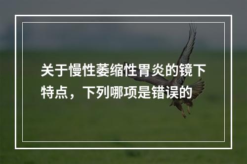 关于慢性萎缩性胃炎的镜下特点，下列哪项是错误的