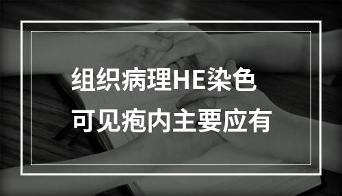 组织病理HE染色可见疱内主要应有