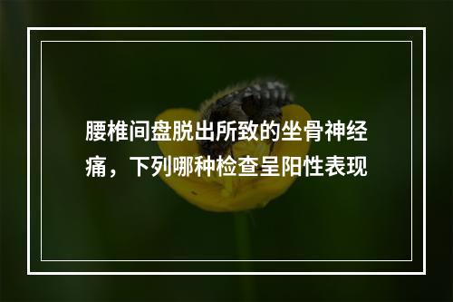 腰椎间盘脱出所致的坐骨神经痛，下列哪种检查呈阳性表现