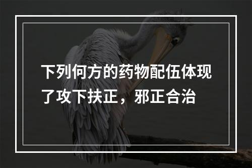 下列何方的药物配伍体现了攻下扶正，邪正合治