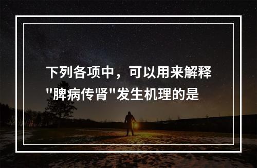 下列各项中，可以用来解释