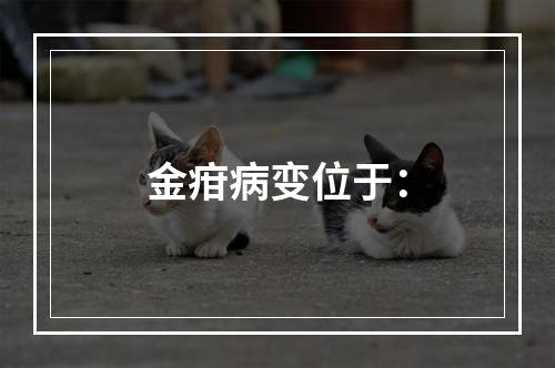 金疳病变位于：