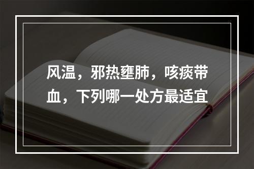 风温，邪热壅肺，咳痰带血，下列哪一处方最适宜