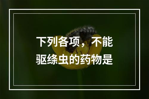 下列各项，不能驱绦虫的药物是