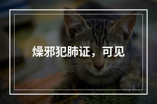 燥邪犯肺证，可见