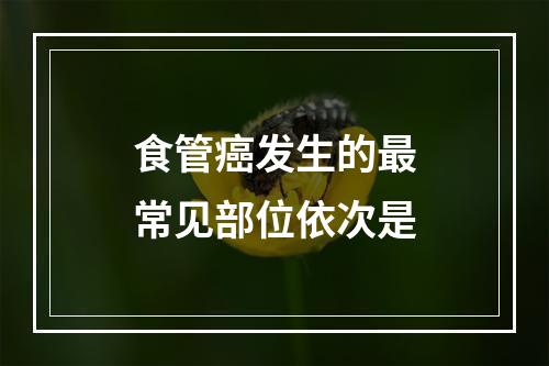 食管癌发生的最常见部位依次是