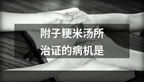 附子粳米汤所治证的病机是