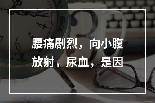 腰痛剧烈，向小腹放射，尿血，是因