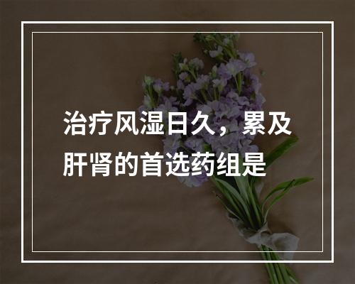 治疗风湿日久，累及肝肾的首选药组是