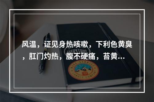 风温，证见身热咳嗽，下利色黄臭，肛门灼热，腹不硬痛，苔黄，脉