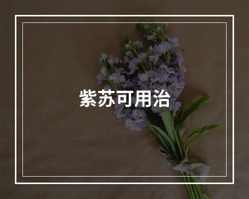 紫苏可用治