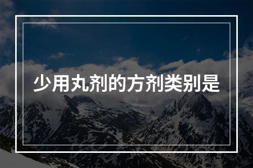 少用丸剂的方剂类别是