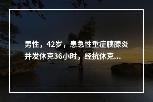 男性，42岁，患急性重症胰腺炎并发休克36小时，经抗休克治疗