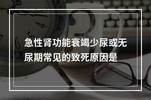 急性肾功能衰竭少尿或无尿期常见的致死原因是