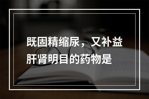 既固精缩尿，又补益肝肾明目的药物是