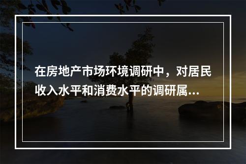 在房地产市场环境调研中，对居民收入水平和消费水平的调研属于（