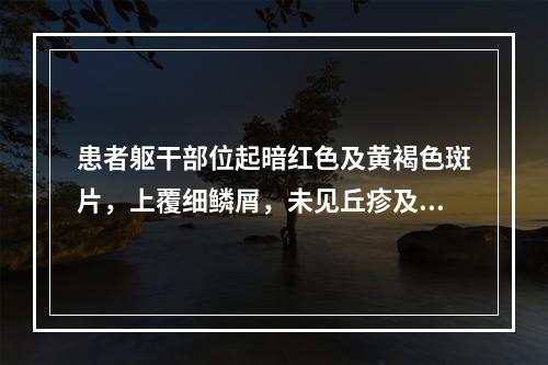 患者躯干部位起暗红色及黄褐色斑片，上覆细鳞屑，未见丘疹及渗出