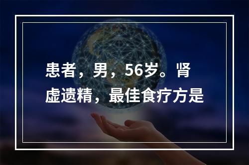 患者，男，56岁。肾虚遗精，最佳食疗方是