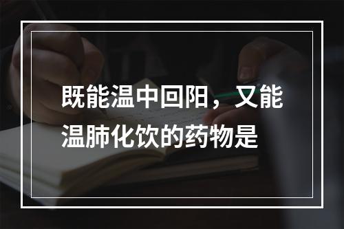 既能温中回阳，又能温肺化饮的药物是