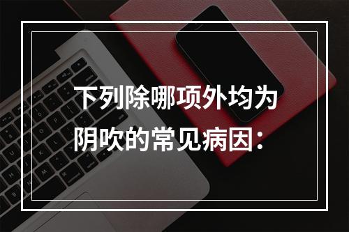 下列除哪项外均为阴吹的常见病因：